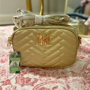 Badgley Mischka Gold Chevron Crossbody Bag